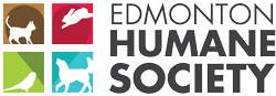 Edmonton summer camps